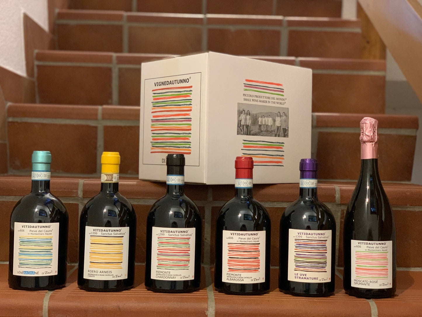 VITIDAUTUNNO® LINIE (6 Flaschen)